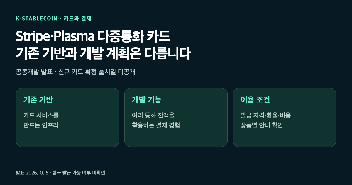 Stripe·Plasma 다중통화 카드의 기존 인프라, 개발 기능, 이용 조건을 세 영역으로 나눈 그림